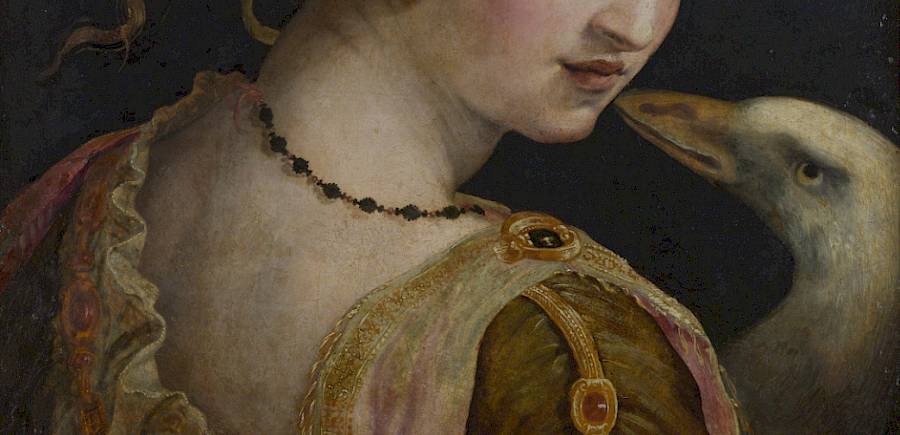 Lezing: Metamorfosen